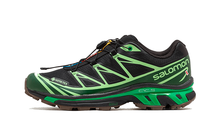 Advanced XT-6 Gore-Tex Eden Green Ash