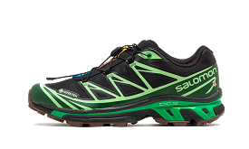 Advanced XT-6 Gore-Tex Eden Green Ash