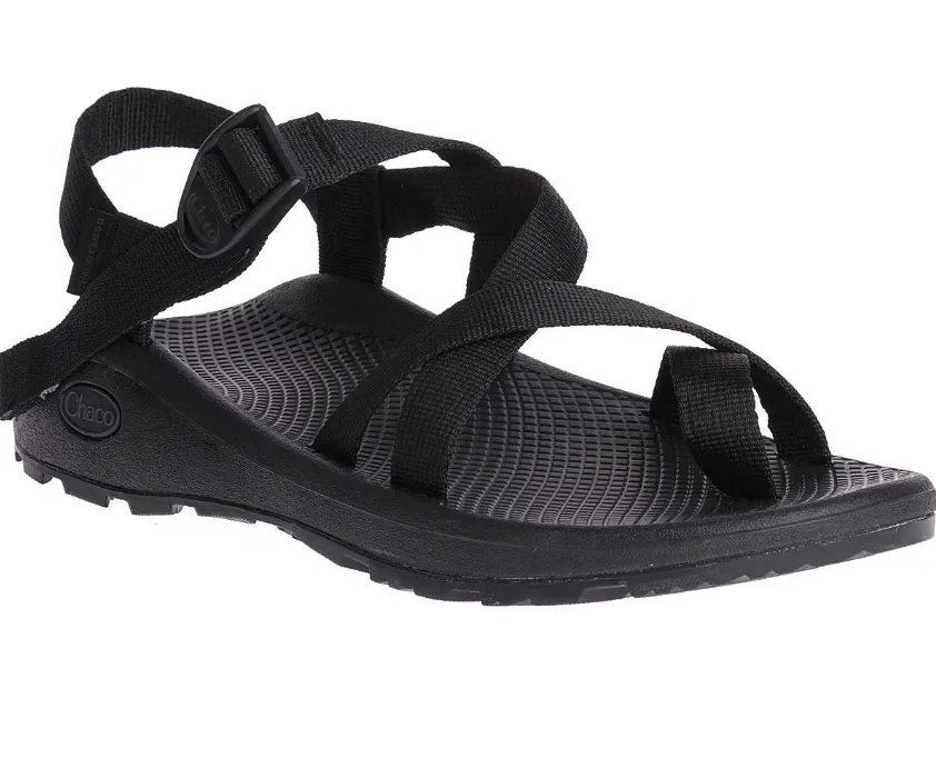 Chaco Men's Z/Cloud 2